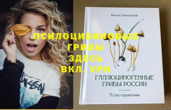 спиды Магадан